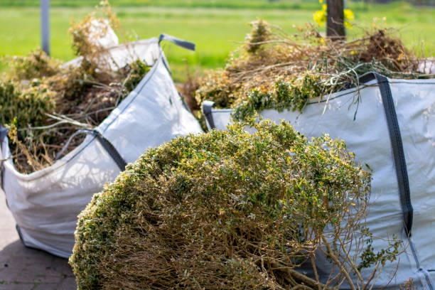 Best Commercial Junk Removal  in Biscoe, NC